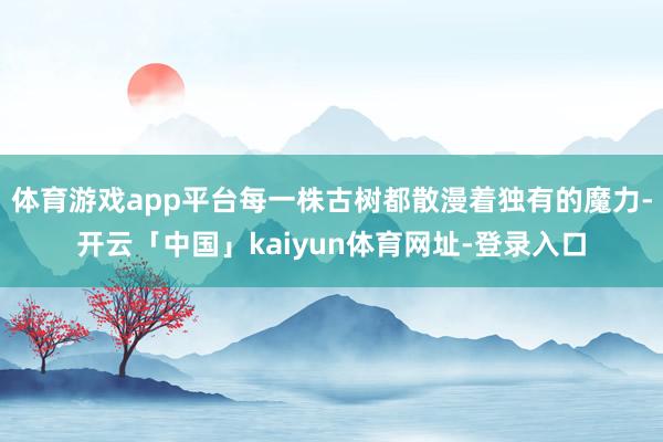 体育游戏app平台每一株古树都散漫着独有的魔力-开云「中国」kaiyun体育网址-登录入口