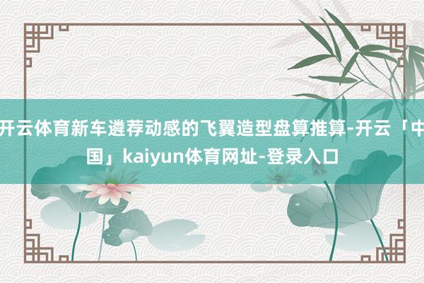 开云体育新车遴荐动感的飞翼造型盘算推算-开云「中国」kaiyun体育网址-登录入口