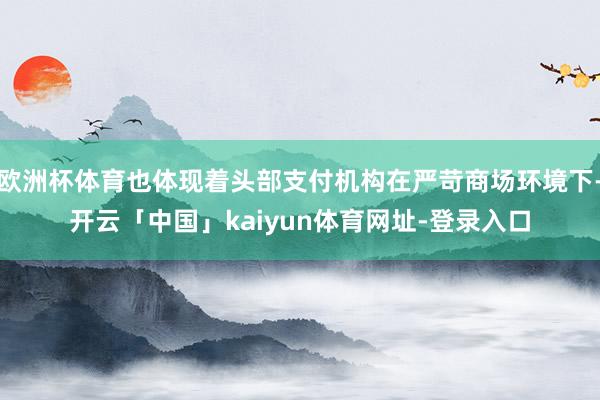 欧洲杯体育也体现着头部支付机构在严苛商场环境下-开云「中国」kaiyun体育网址-登录入口