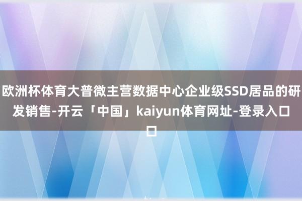 欧洲杯体育大普微主营数据中心企业级SSD居品的研发销售-开云「中国」kaiyun体育网址-登录入口