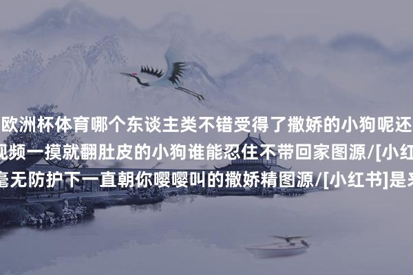 欧洲杯体育哪个东谈主类不错受得了撒娇的小狗呢还有网友晒出我方捡狗的视频一摸就翻肚皮的小狗谁能忍住不带回家图源/[小红书]嘟噜与呀吼还有毫无防护下一直朝你嘤嘤叫的撒娇精图源/[小红书]是来福呀lll东谈主： “就在这刹那间我决定收养它”话未几说抱回家喽图源/[小红书]是来福呀lll其实小狗不知谈什么叫撒娇仅仅因为信任和心爱才朝你翻肚皮和你贴贴小狗能给你什么呢？它什么也莫得唯有100%的爱但你不错给小狗的是它每一天的饱暖 发布于：北京市-开云「中国」kaiyun体育网址-登录入口