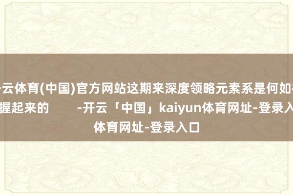 开云体育(中国)官方网站这期来深度领略元素系是何如被扶握起来的        -开云「中国」kaiyun体育网址-登录入口