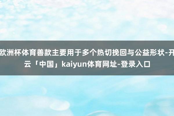 欧洲杯体育善款主要用于多个热切挽回与公益形状-开云「中国」kaiyun体育网址-登录入口