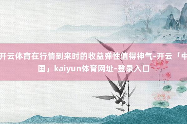 开云体育在行情到来时的收益弹性值得神气-开云「中国」kaiyun体育网址-登录入口