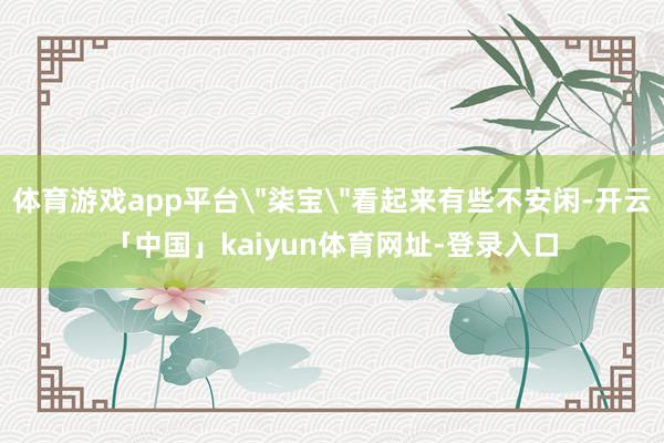 体育游戏app平台