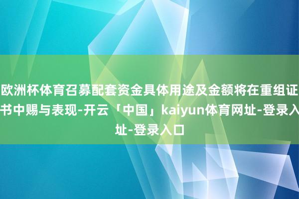 欧洲杯体育召募配套资金具体用途及金额将在重组证实书中赐与表现-开云「中国」kaiyun体育网址-登录入口