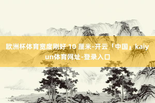 欧洲杯体育宽度刚好 10 厘米-开云「中国」kaiyun体育网址-登录入口