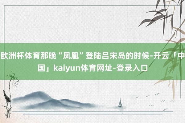欧洲杯体育那晚“凤凰”登陆吕宋岛的时候-开云「中国」kaiyun体育网址-登录入口