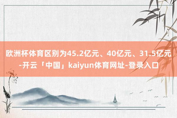 欧洲杯体育区别为45.2亿元、40亿元、31.5亿元-开云「中国」kaiyun体育网址-登录入口