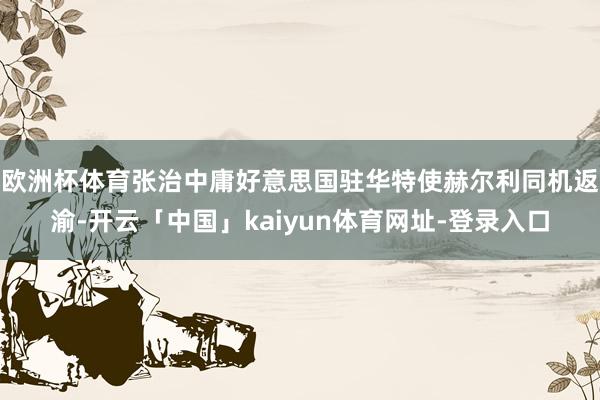 欧洲杯体育张治中庸好意思国驻华特使赫尔利同机返渝-开云「中国」kaiyun体育网址-登录入口